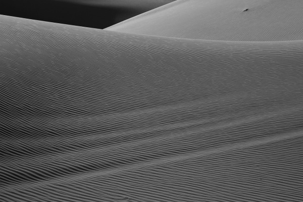 Diálogo conceptual en blanco y negro