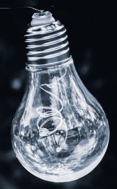Idea y reconstrucción conceptual en B/N